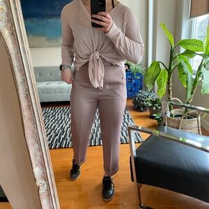 Aritzia Babaton Pants size 10